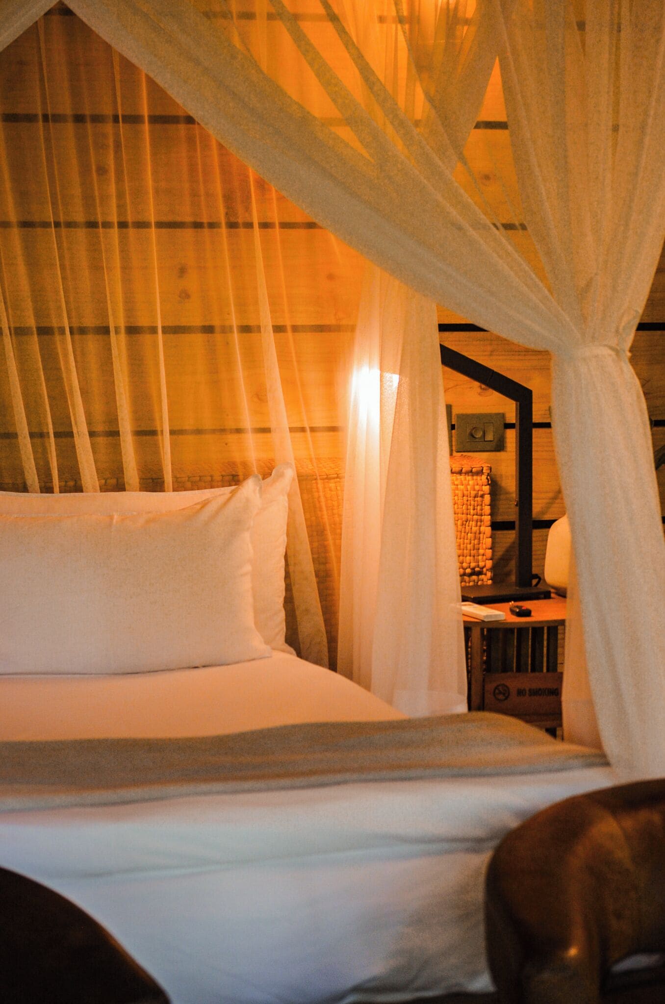 A bed with white linens and a canopy, a wooden headboard, and a nightstand with a lamp and a book.