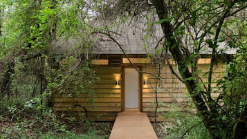 Luxury Forest Suite | View from room
