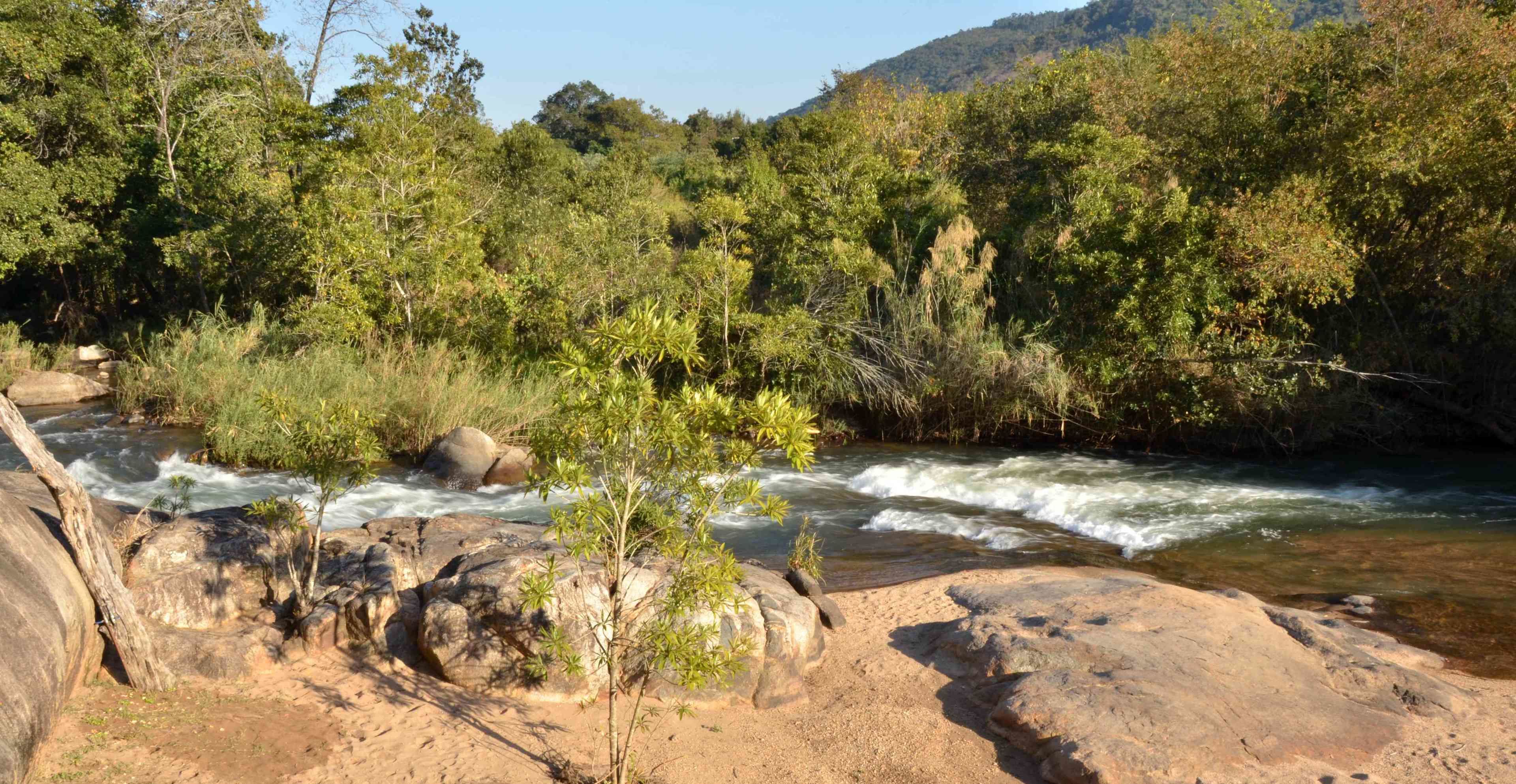 Un río serpentea a través de un paisaje rocoso, con abundante vegetación y árboles.