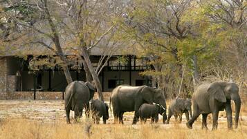 Mesin pembuat kopi/teh