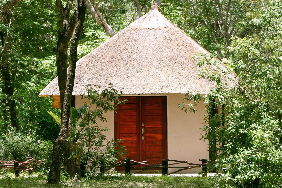 A small, thatched-roof hut with a wooden door, surrounded by lush greenery.