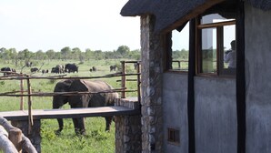 Un bâtiment en pierre avec un toit de chaume, une plateforme d’observation en bois et une fenêtre en verre.