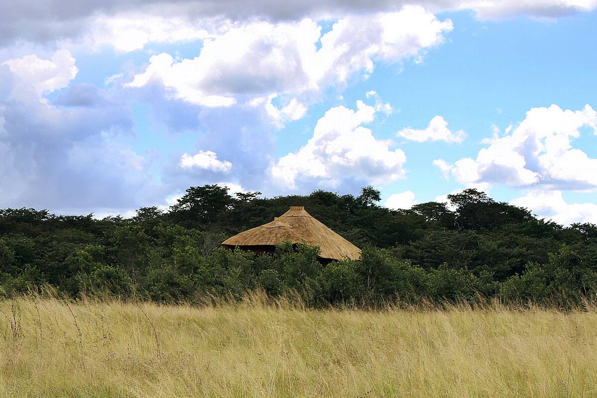 A thatched-roof hut surrounded by dense greenery and tall grass.