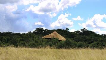 Tree Top Villa | Safari