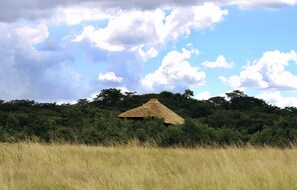 Tree Top Villa | Safari - Gwango Elephant Lodge (Dete)