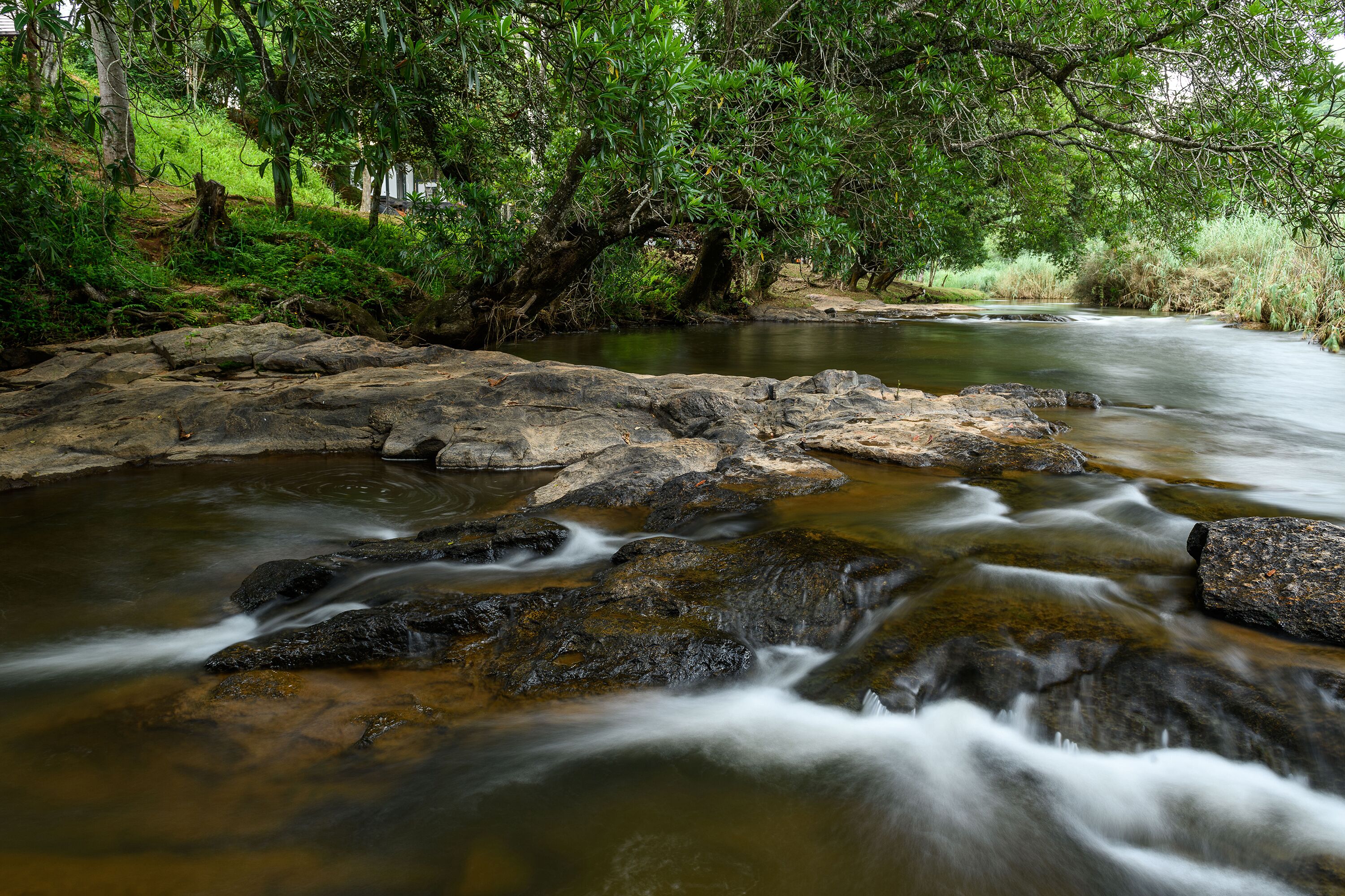 land view from property