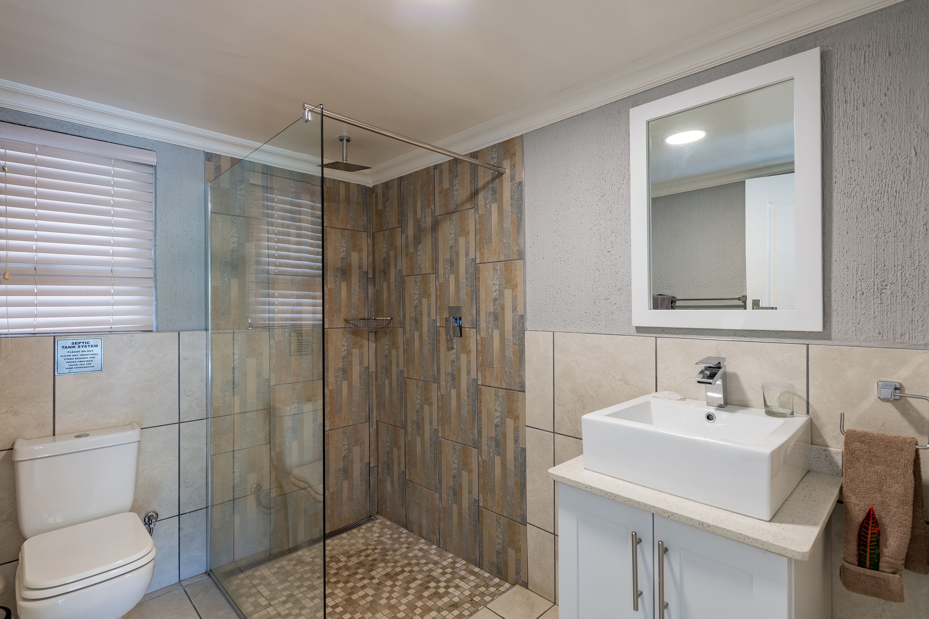 Une salle de bain avec une douche à parois de verre, des toilettes, un lavabo et un miroir.