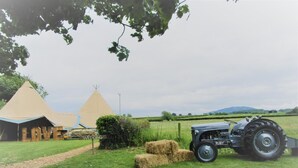 Property grounds - The Wroxeter Hotel (Shrewsbury)