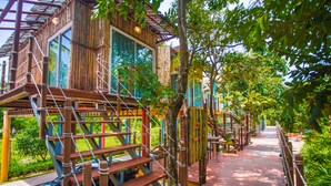 A wooden structure with a rope bridge, a wooden deck, and a view of greenery. - Vartika Adventure Retreatic Resort (Prachuap Khiri Khan)