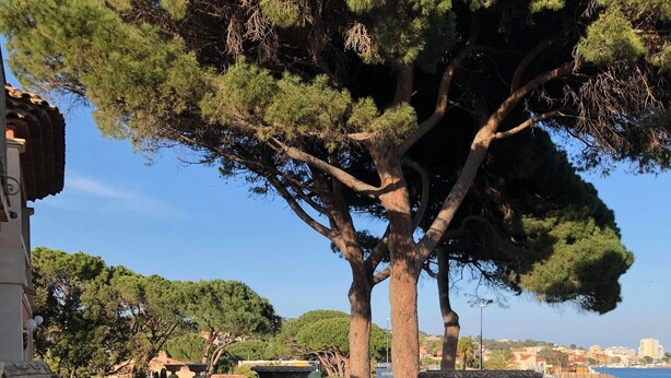 Una terraza con una urna grande, barandilla y vistas al mar y edificios.