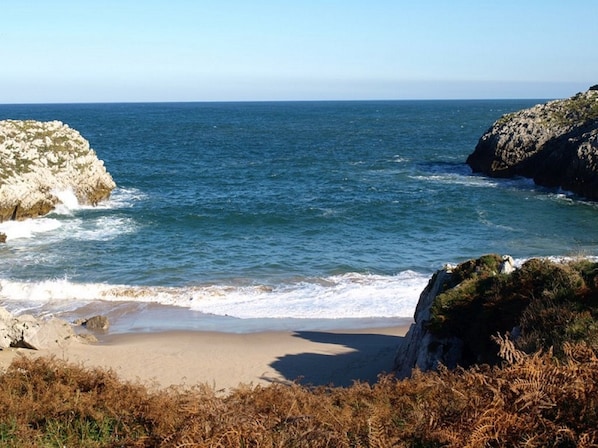 Plage à proximité, canoë