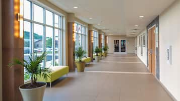 A spacious corridor with large windows, potted plants, and seating areas.