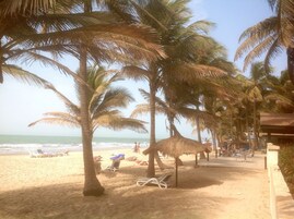 Una playa con palmeras, sillas de descanso y una estructura de techo de paja.