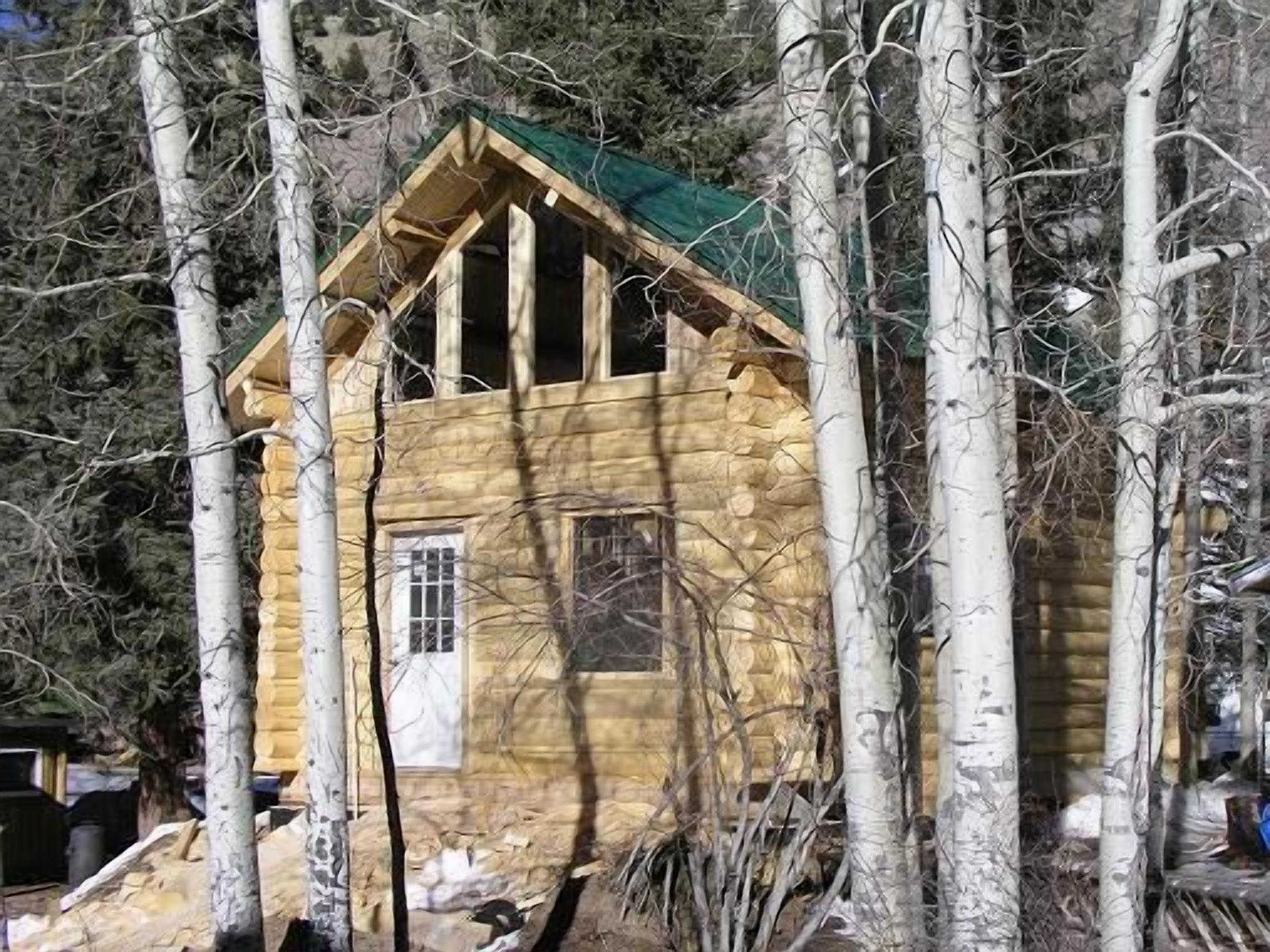 A log cabin with a triangular roof, surrounded by birch trees.