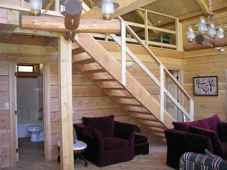 A wooden interior with a staircase, wooden walls, and purple furniture.