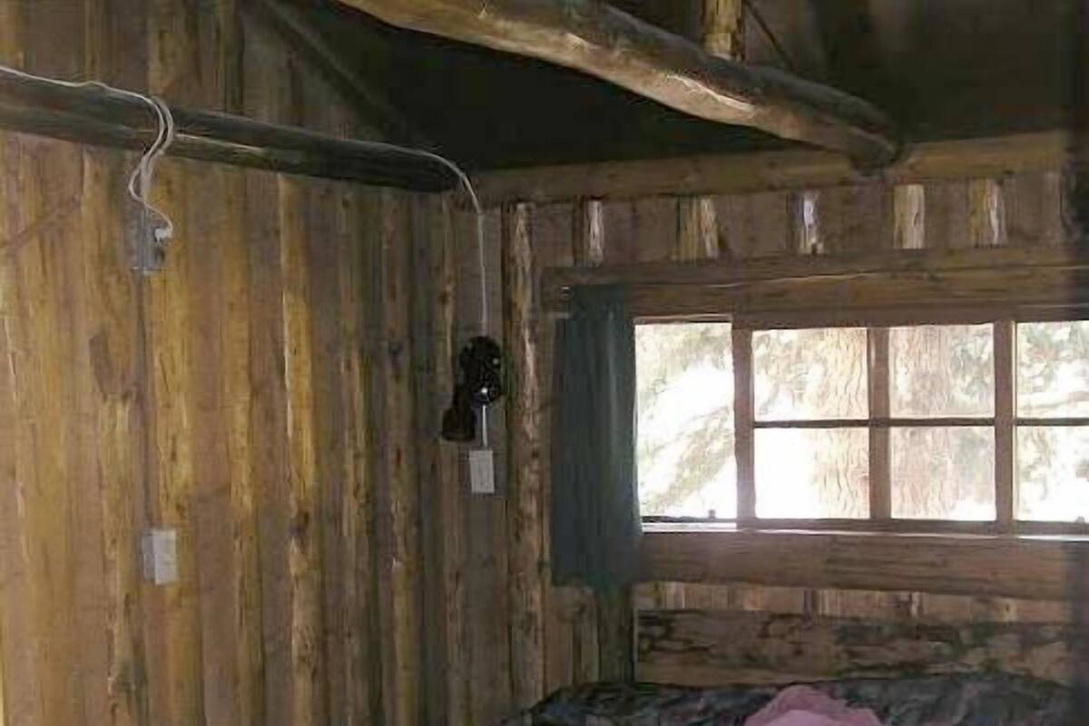 Una habitación de cabaña de madera con una cama, una ventana y una puerta.