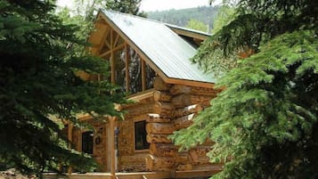 A rustic log cabin with a steeply pitched roof, surrounded by dense forest.