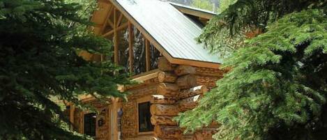 Une cabane rustique en rondins de bois, dotée d’un toit à forte pente, entourée d’une forêt dense.