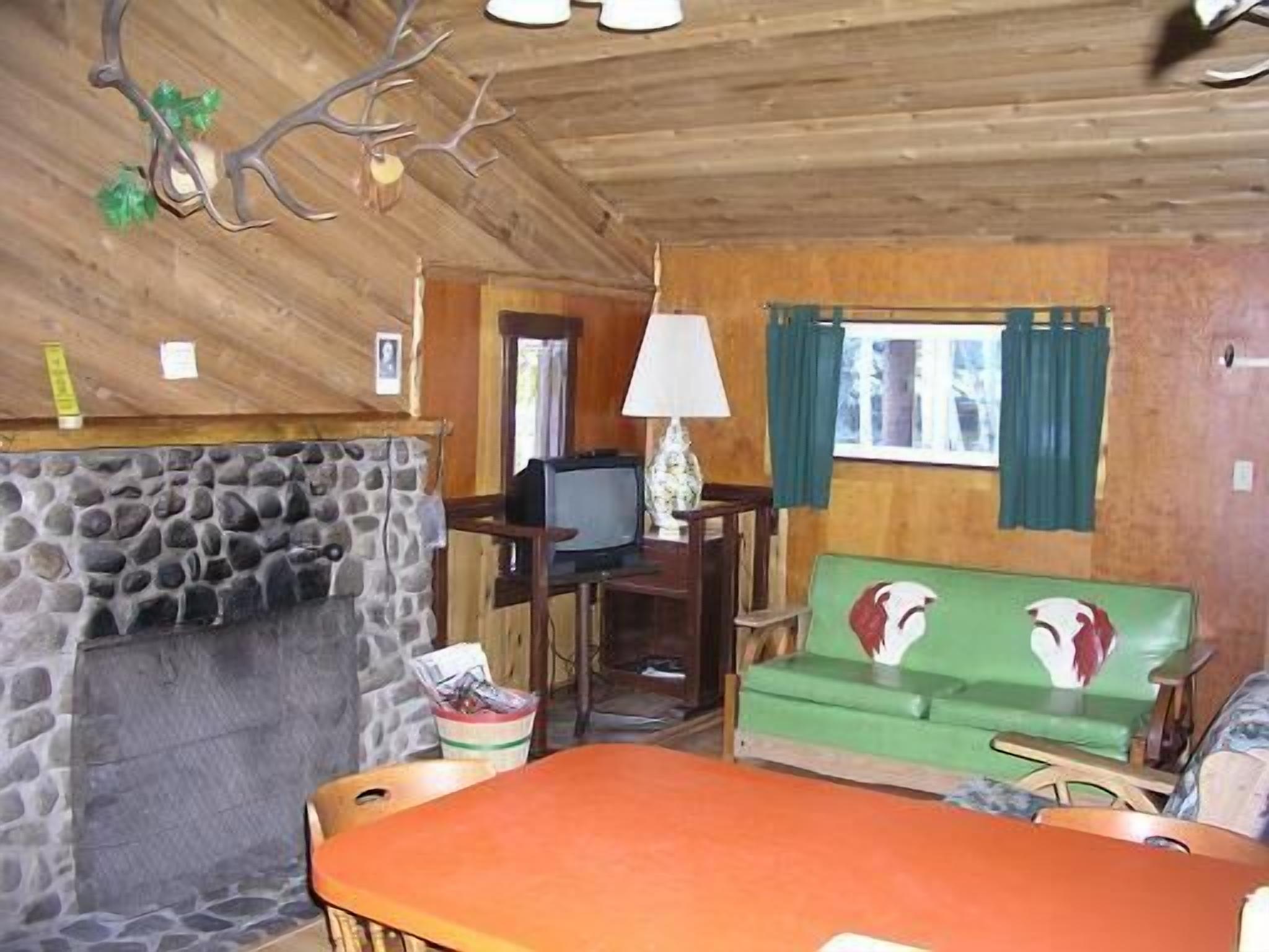 Interno di una baita rustica con camino in pietra, pareti in legno, un divano verde e un tavolo da pranzo.