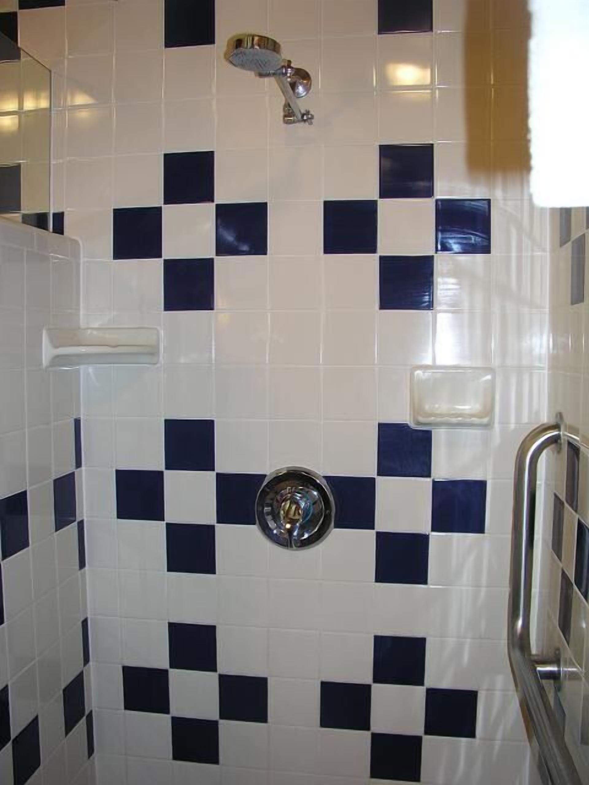 Une salle de bain avec un carrelage à motifs à carreaux, une pomme de douche et une barre d’appui.