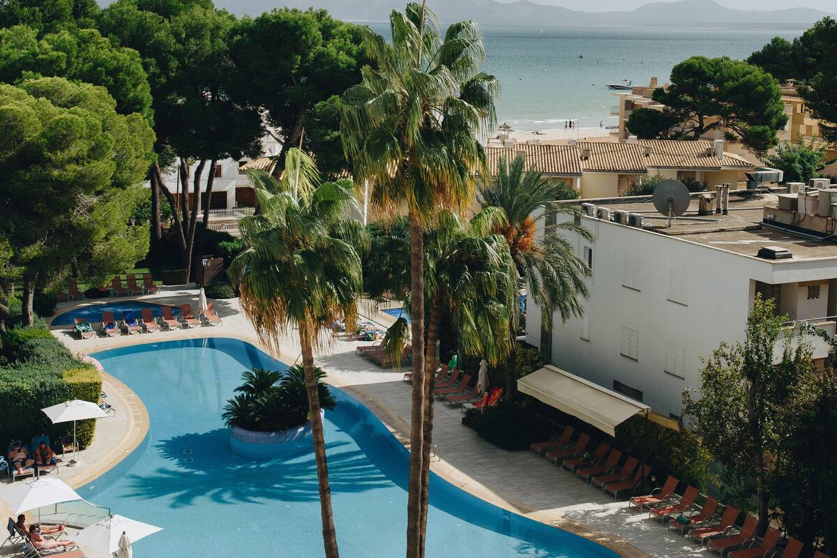 Un espace piscine dans un complexe hôtelier, avec une piscine en forme de courbe, des chaises longues et des palmiers.
