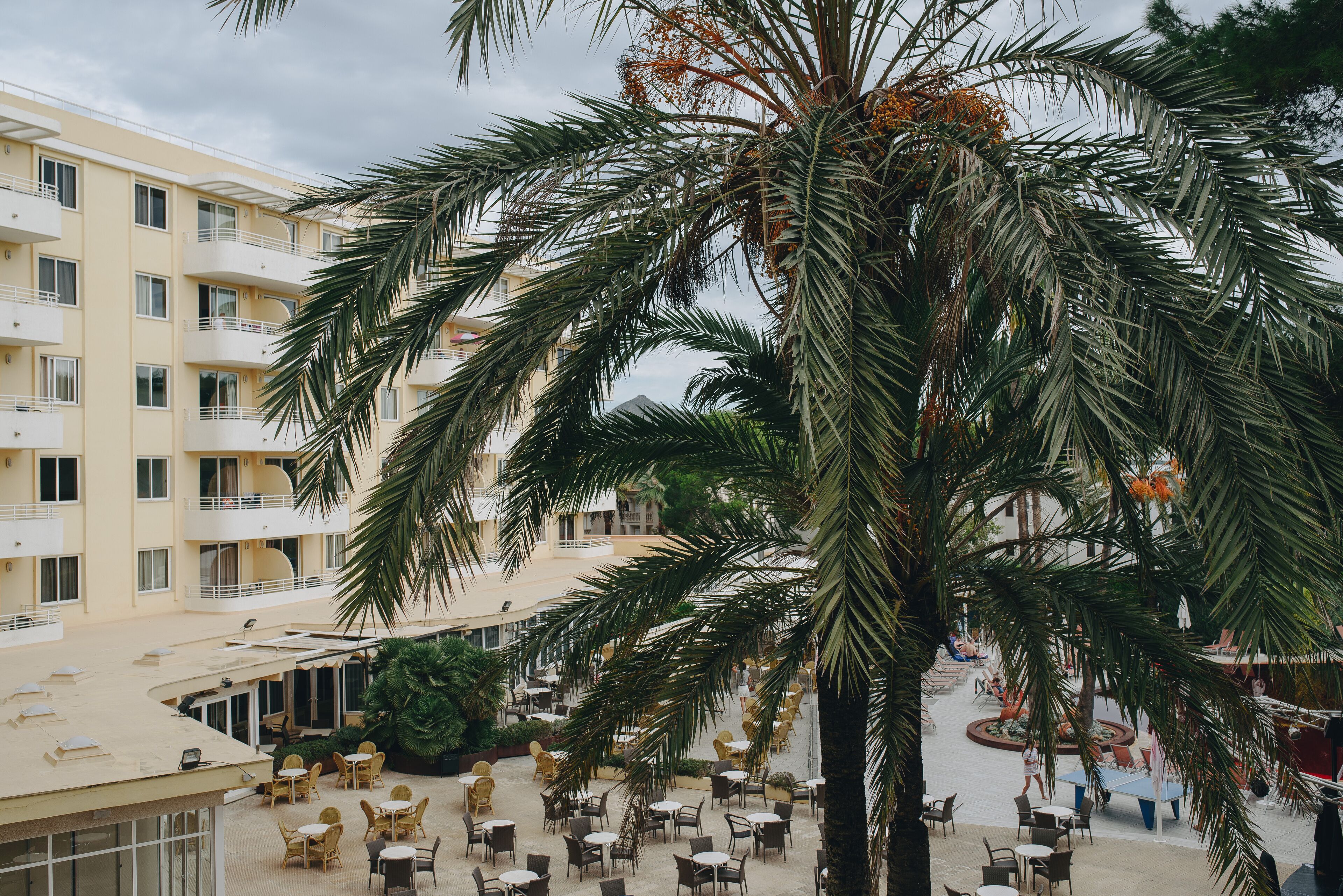 Un patio de hotel con mobiliario exterior, palmeras y un edificio de varios pisos con balcones.
