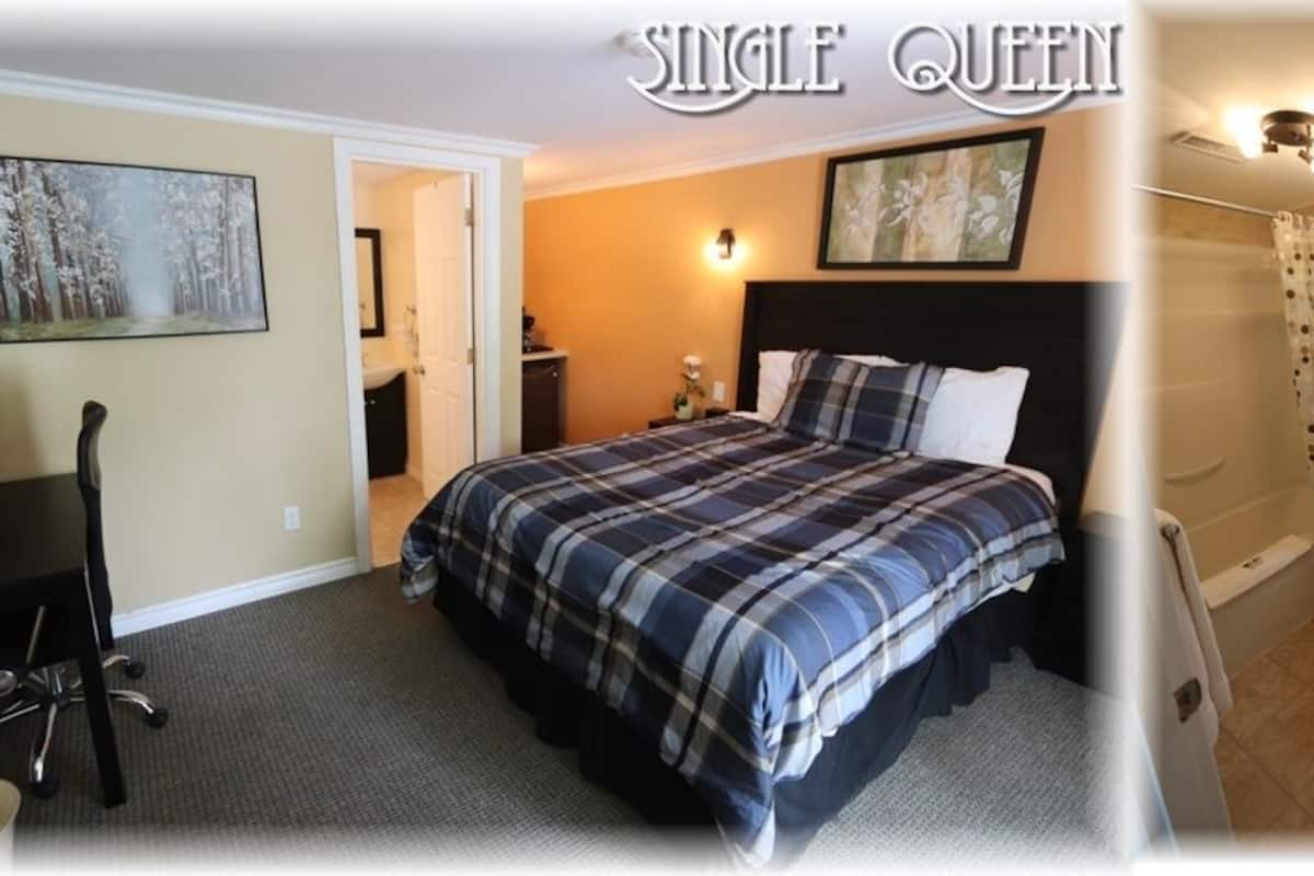 Quarto, 1 cama Queen | Wi-Fi de cortesia