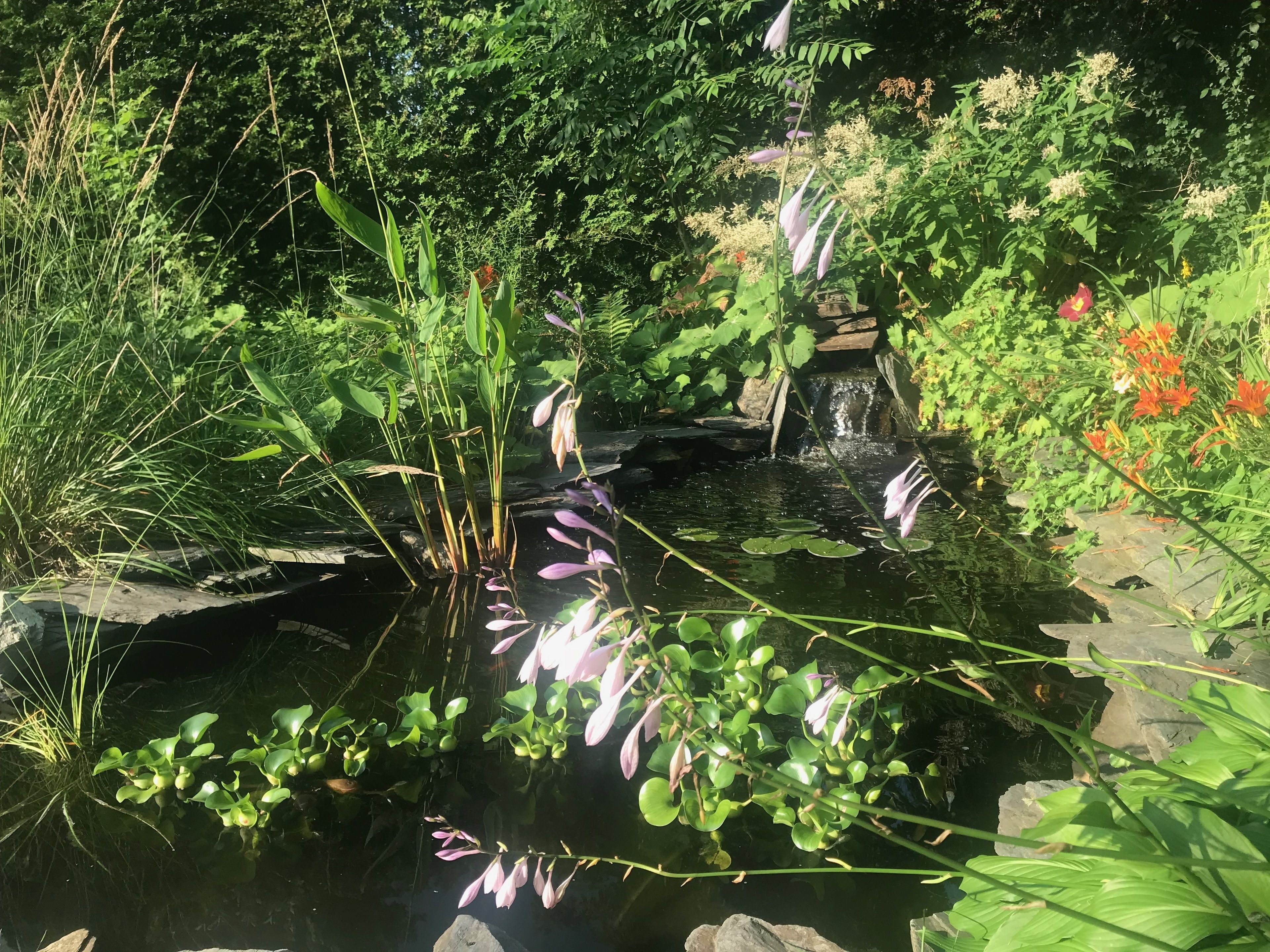 Un jardín tranquilo con un estanque, abundante vegetación y una cascada pequeña.