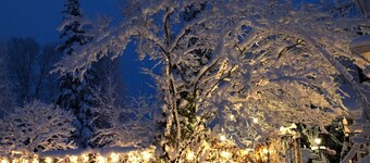 Au Manoir de la rue Merry