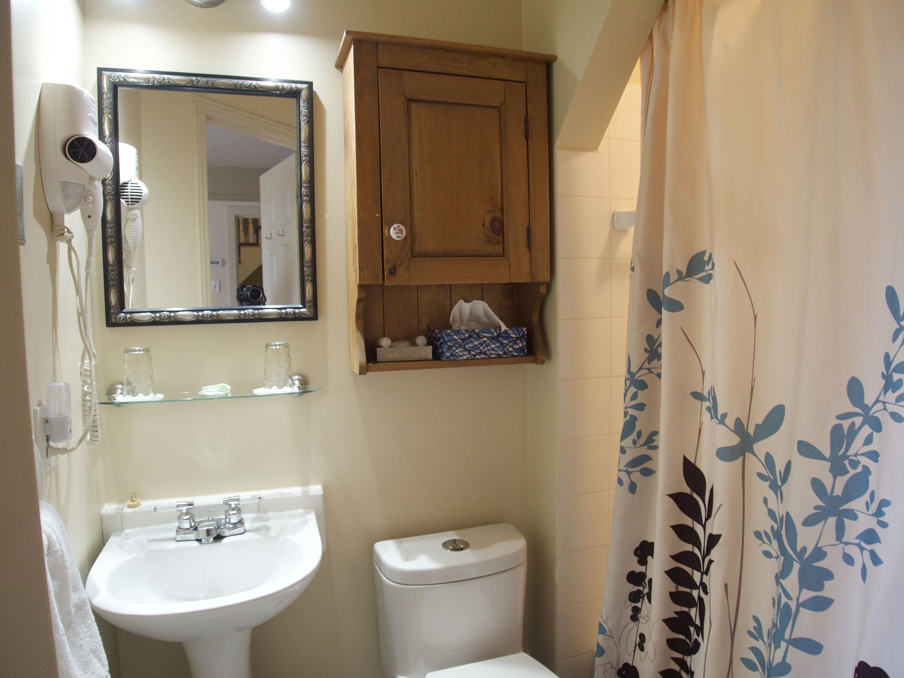 A bathroom with a white sink, a mirror, a wooden cabinet, and a toilet.