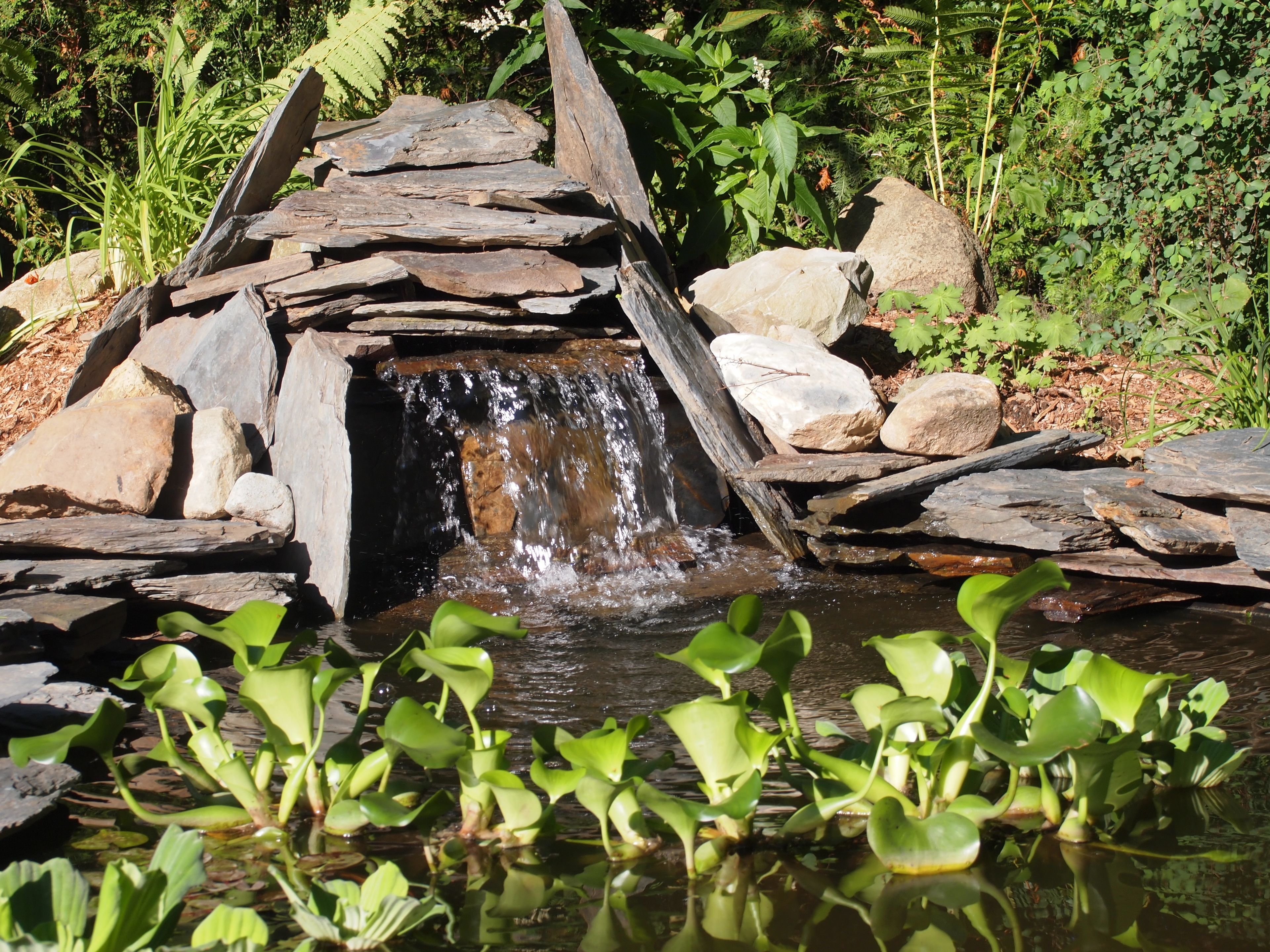 A small waterfall in a garden with rocks and water plants.