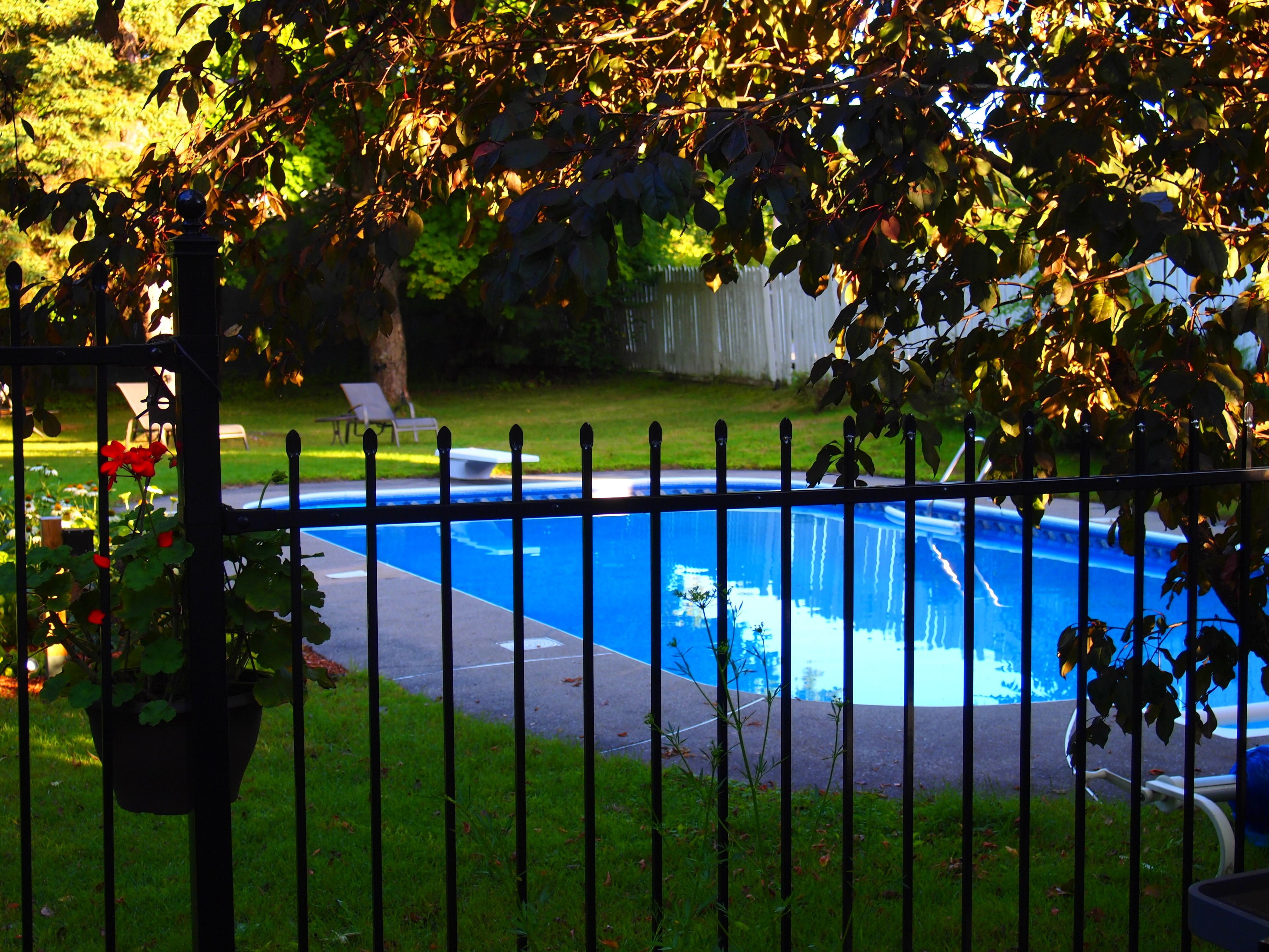A swimming pool surrounded by a metal fence, with a grassy area and a tree in the background.
