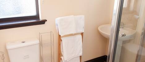 Un baño con inodoro, lavamanos y cabina de ducha de vidrio.