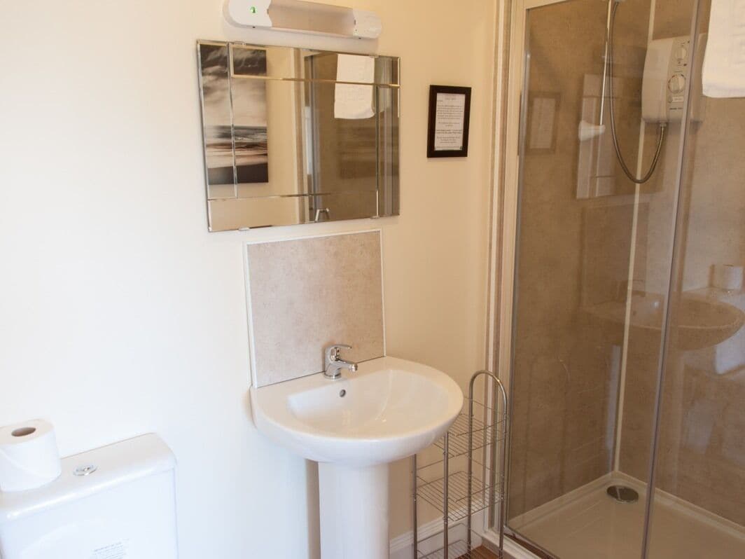 A bathroom with a white sink, a mirror, a shower enclosure, and a toilet.