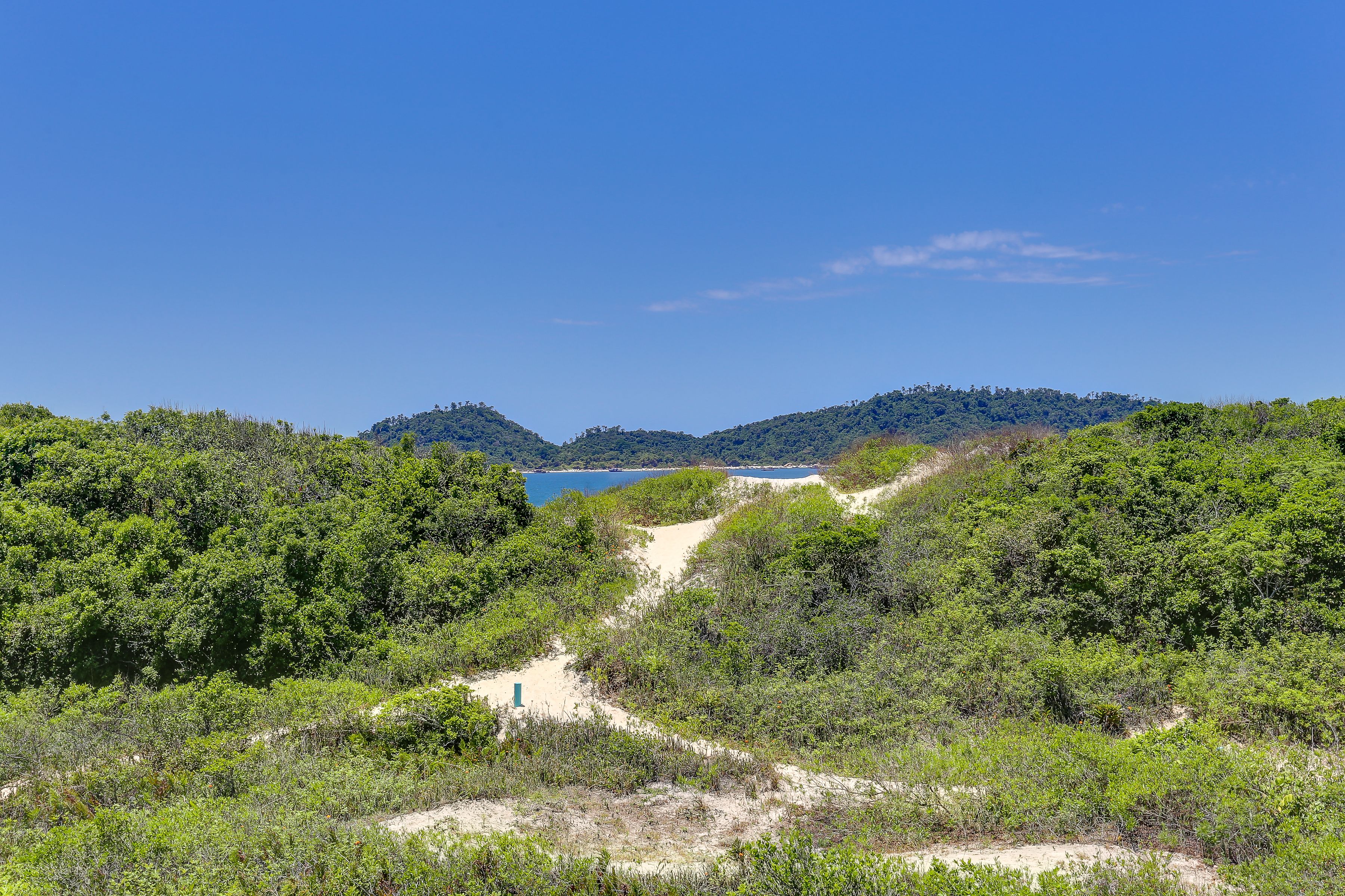 Paesaggio costiero con un sentiero sterrato che conduce a una spiaggia, immerso nella vegetazione lussureggiante e circondato da colline.