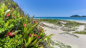 Una playa con cielos despejados, un camino de arena y vegetación densa.