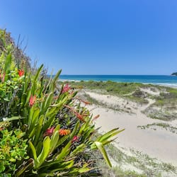 Beach nearby, white sand, sun loungers, beach umbrellas