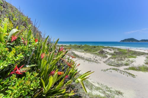 Perto da praia, areia branca, espreguiçadeiras, guarda-sóis