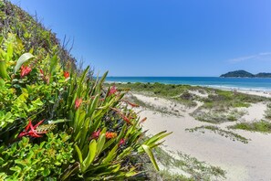 Plage à proximité, sable blanc, chaises longues, parasols
