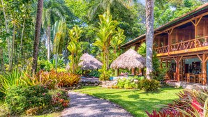 Un jardín tropical con un sendero de grava que lleva a una construcción de madera con techo de paja.