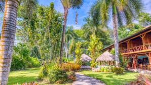 Un jardín tropical con un sendero que conduce a una construcción de madera con techo de paja.