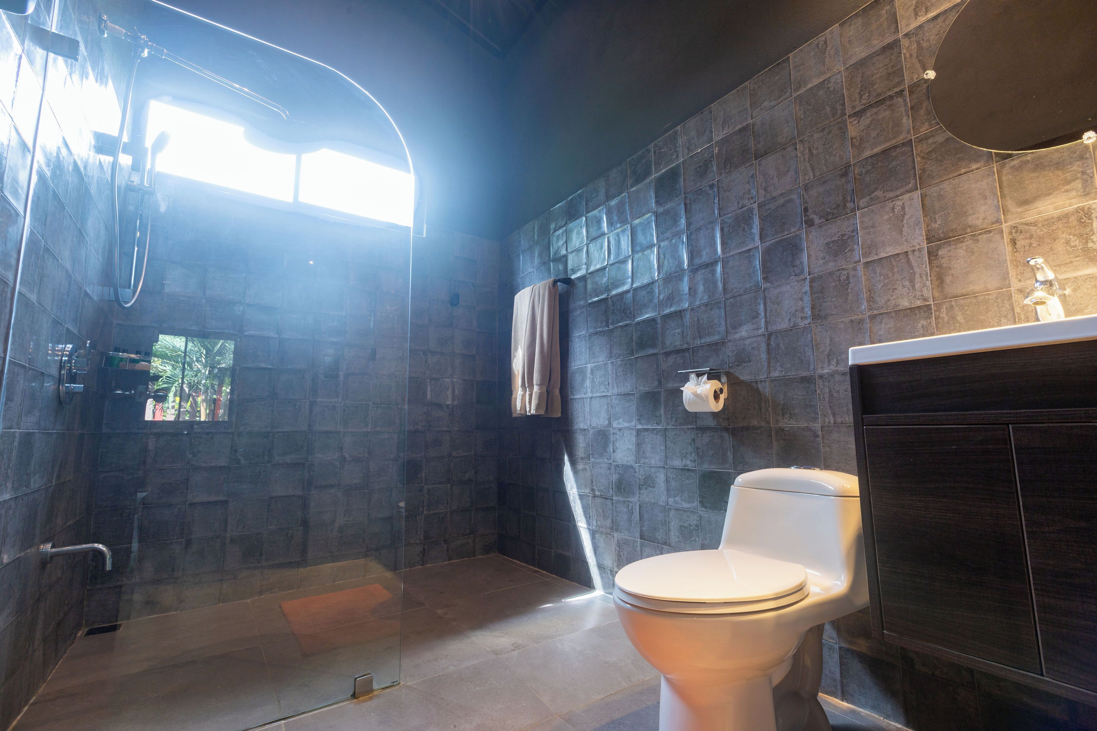 A bathroom with a glass-enclosed shower, a toilet, and a dark tiled wall.