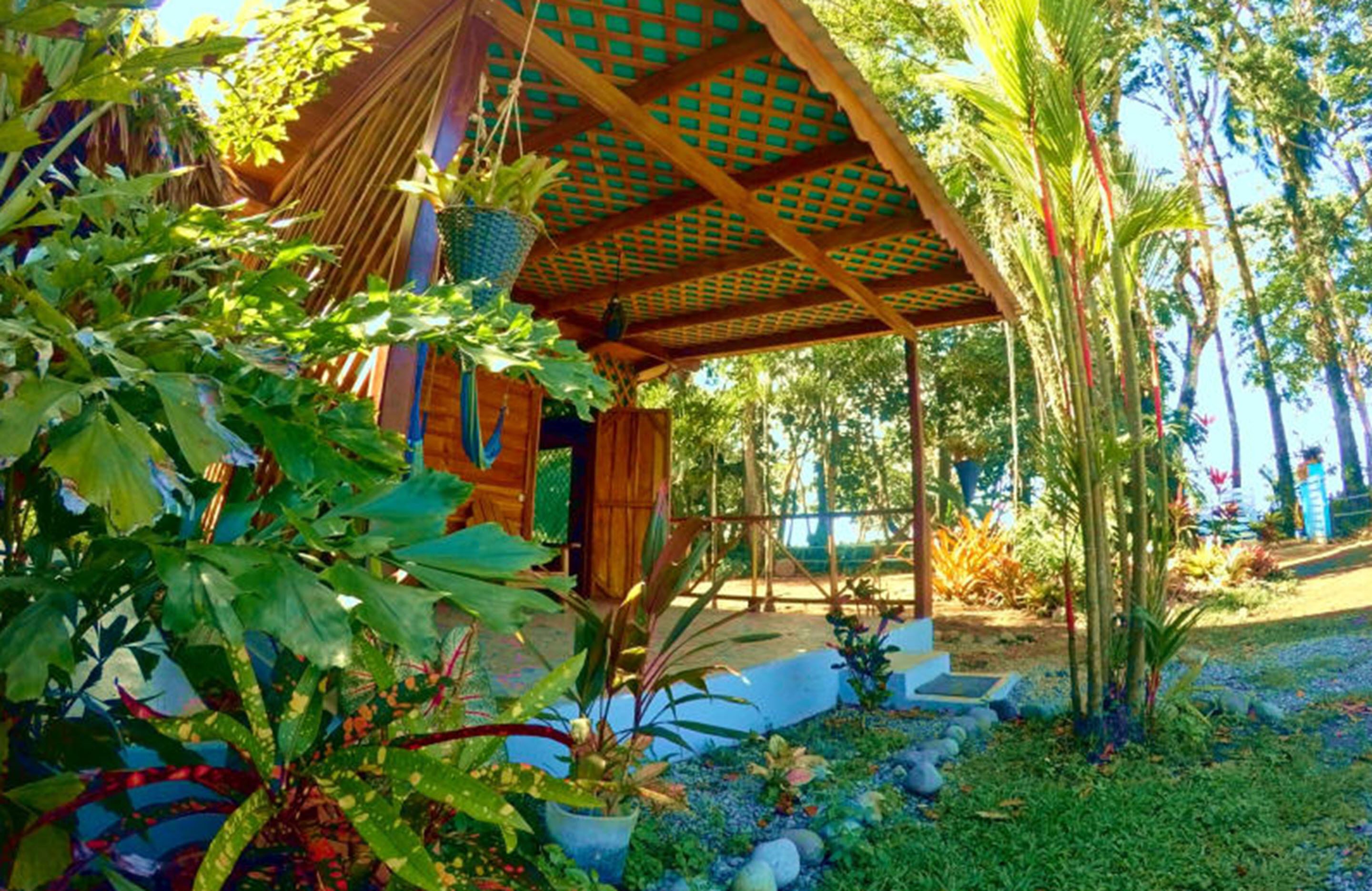 Un espace extérieur abrité, doté d’une structure en bois, de plantes en pot et d’un jardin agrémenté de rochers et de verdure.