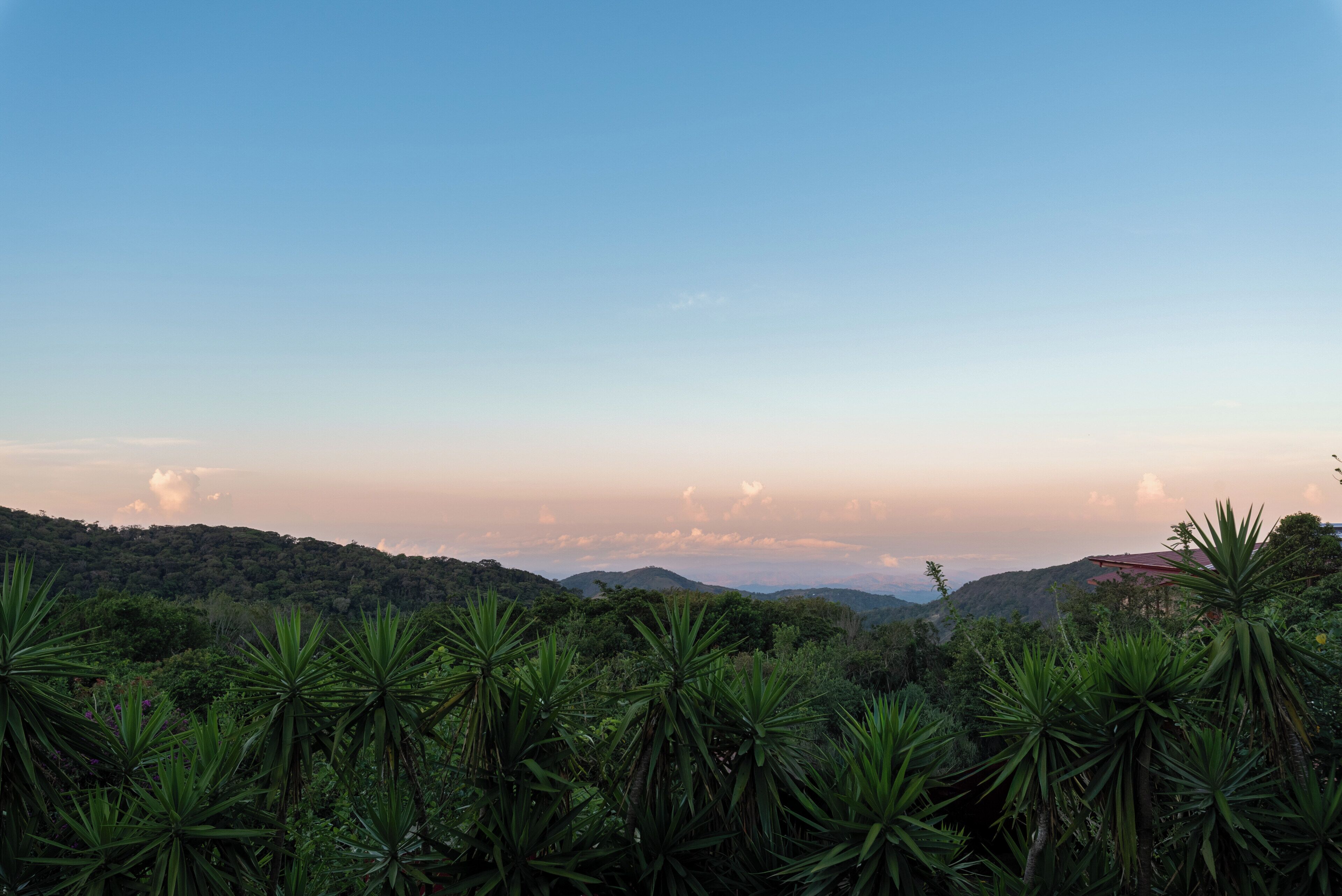 Un paisaje con vistas a una cordillera y vegetación densa en primer plano.