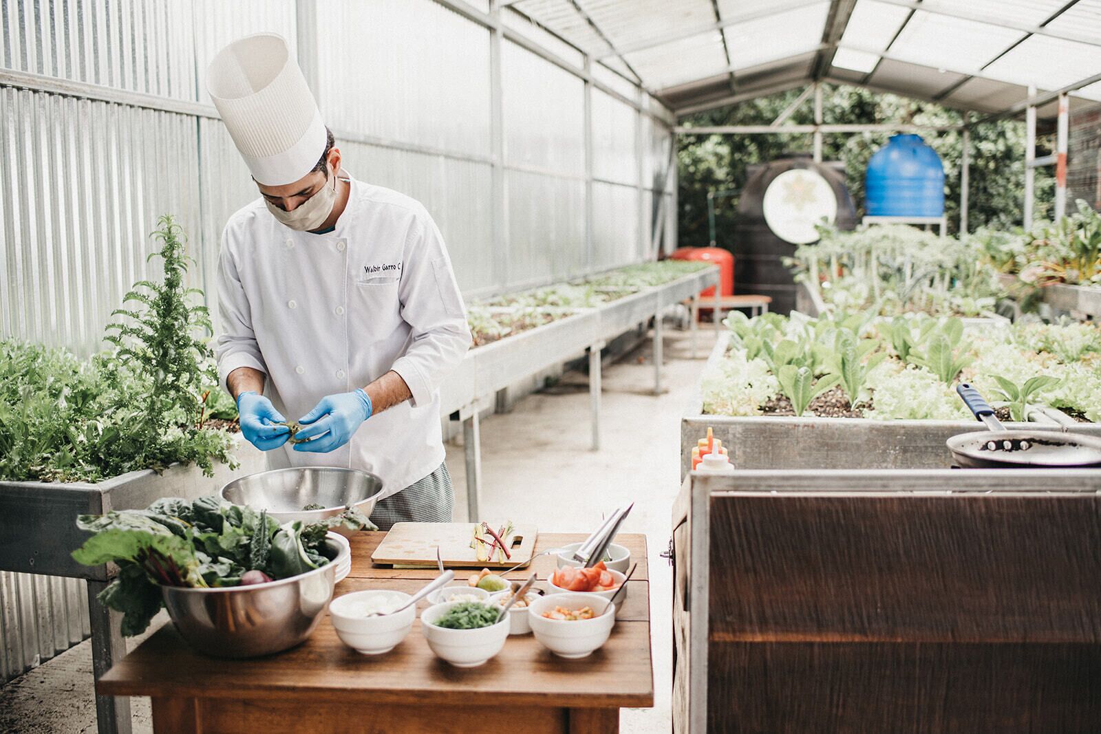 Se sirven desayunos, comidas y cenas con vista al mar 