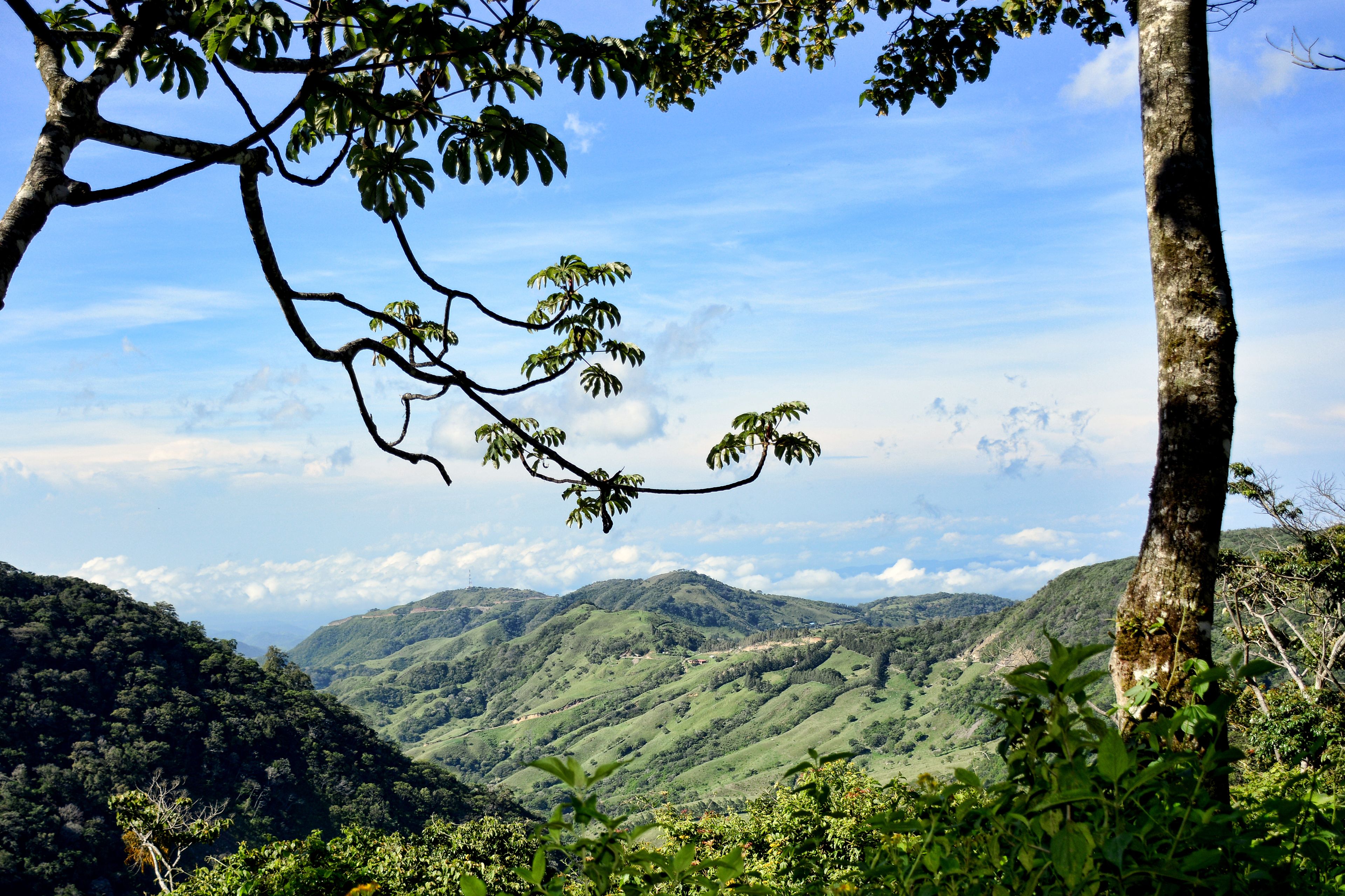 Paisaje montañoso con abundante vegetación y cielo despejado.