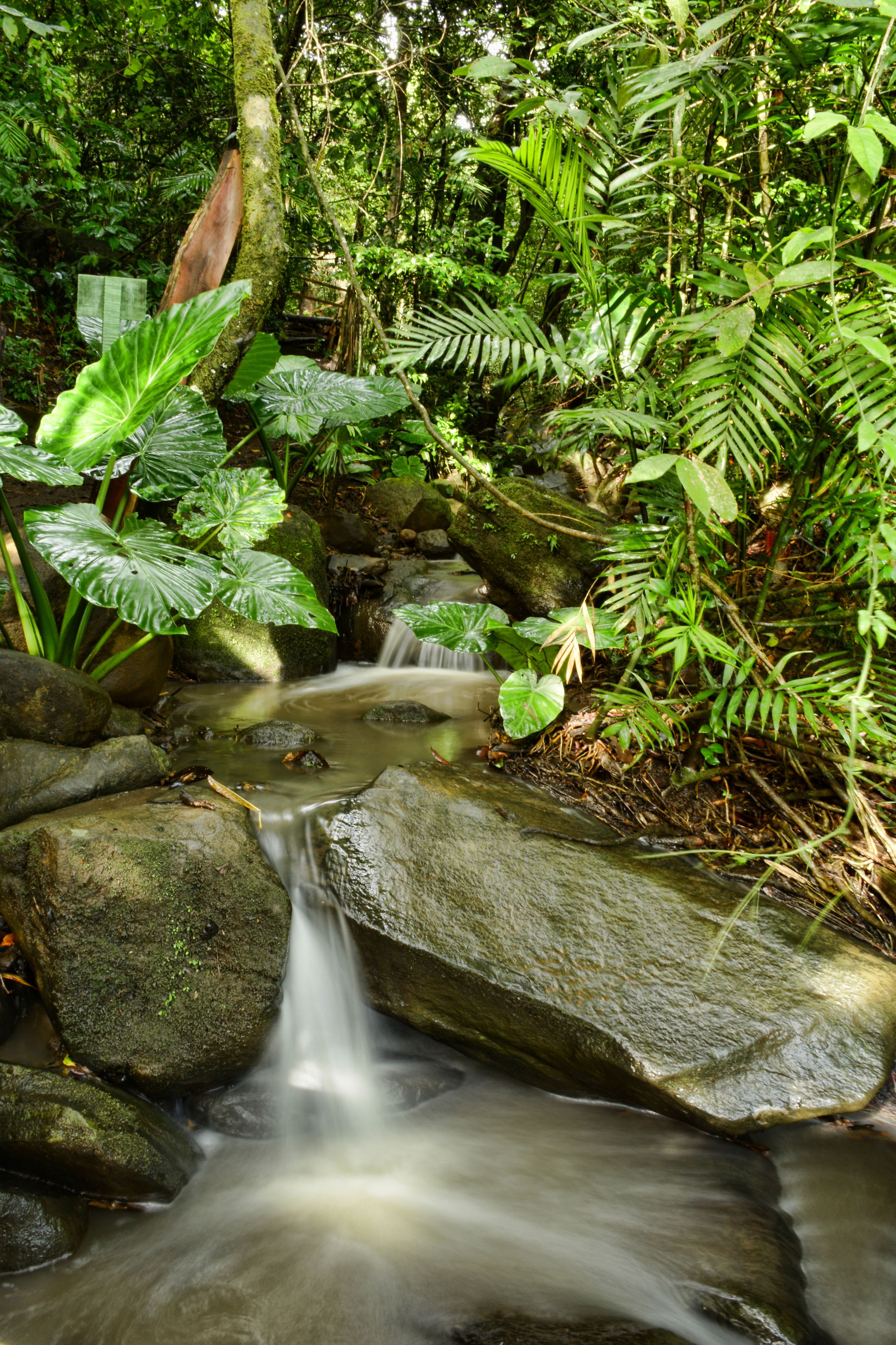 Photo - Valle Escondido Nature Reserve Hotel & Farm