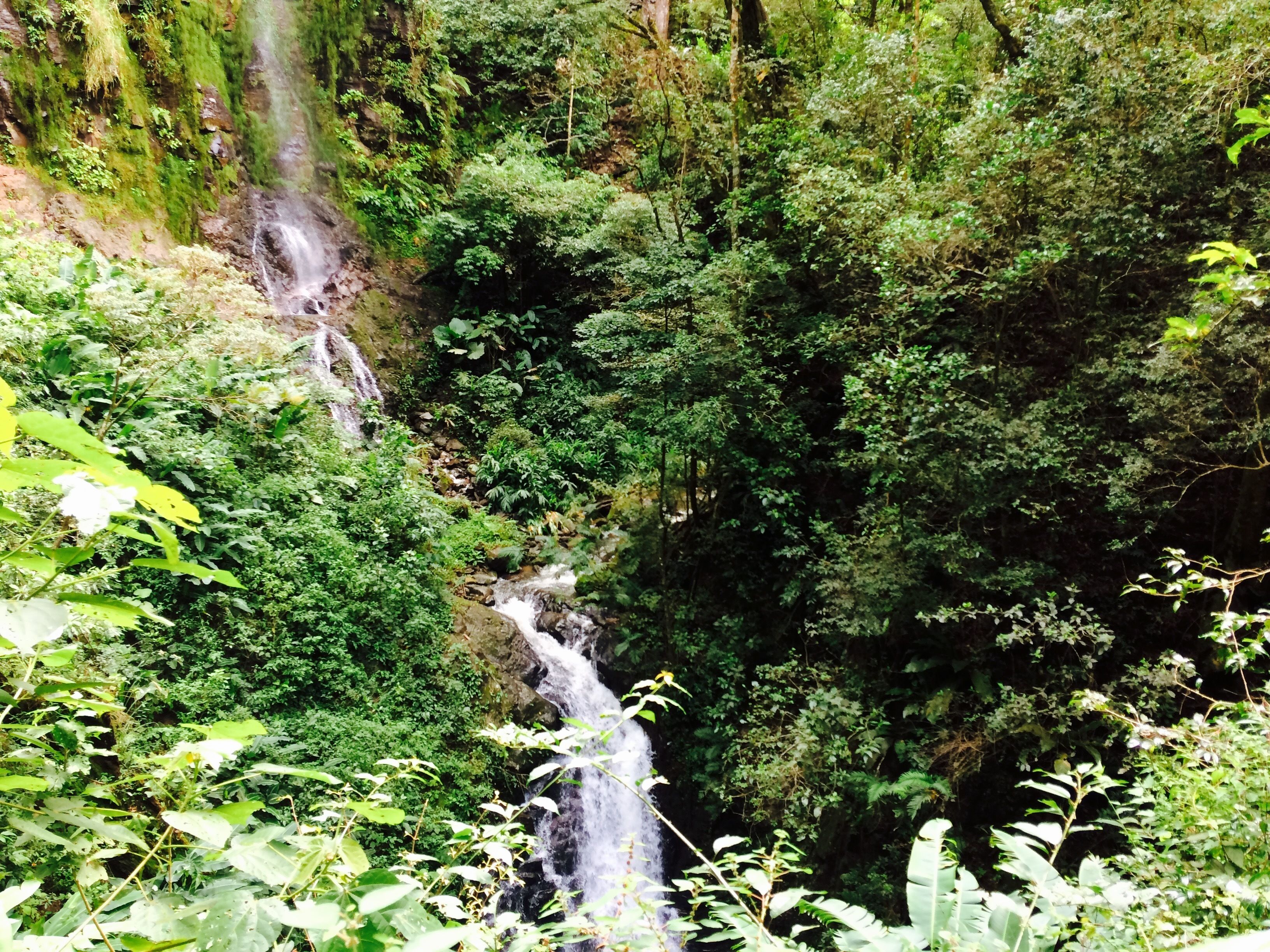 Een waterval stort naar beneden over een rotswand, omringd door weelderige groene begroeiing.