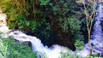 A waterfall surrounded by dense greenery.