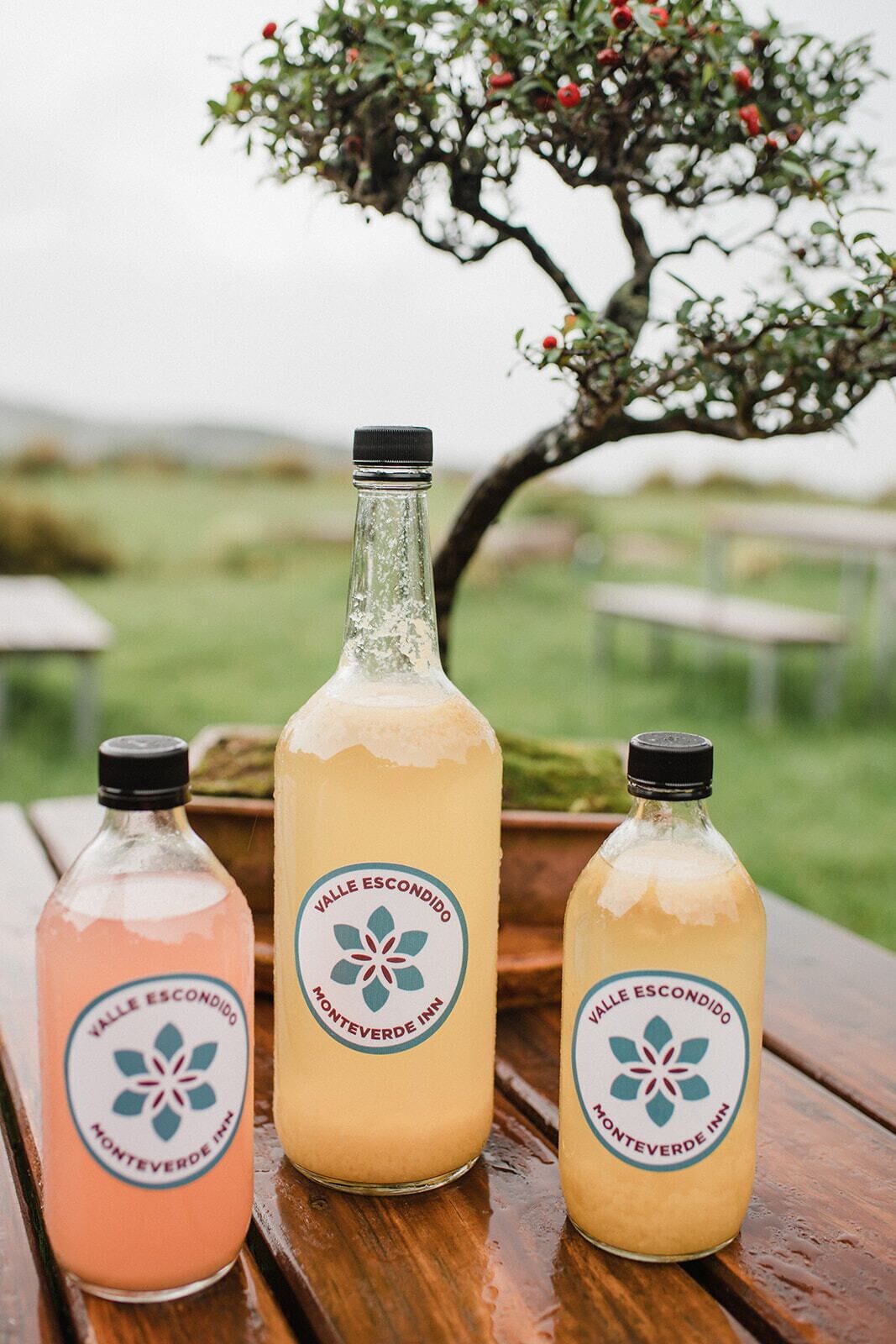 Three bottles of Valle Escondido Monteverde Inn beverages on a wooden table with a tree in the background.